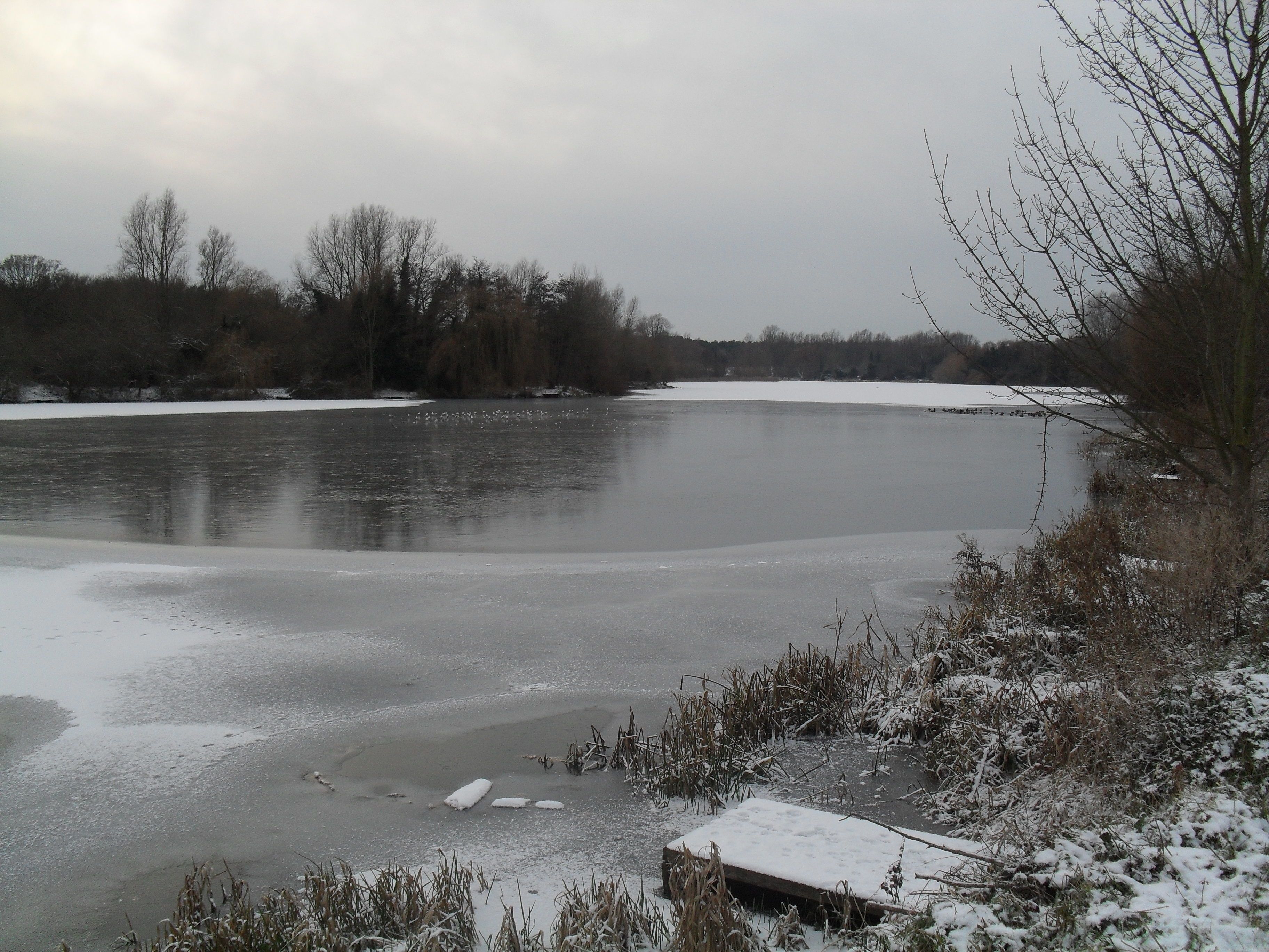 An almost colourless image of the UEA Broad frozen in 2010.