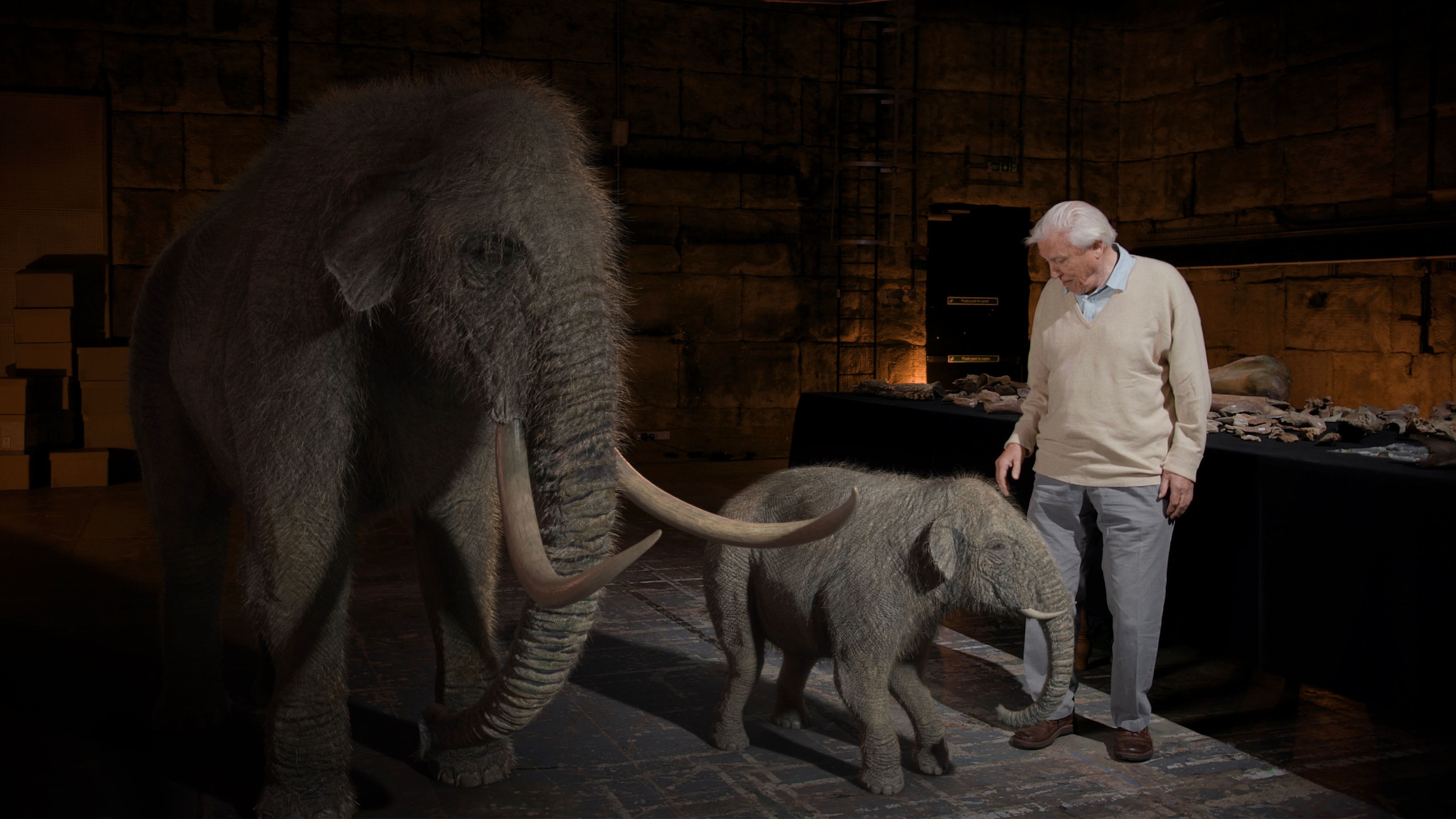 person standing in dark room pointing to cgi mammoth