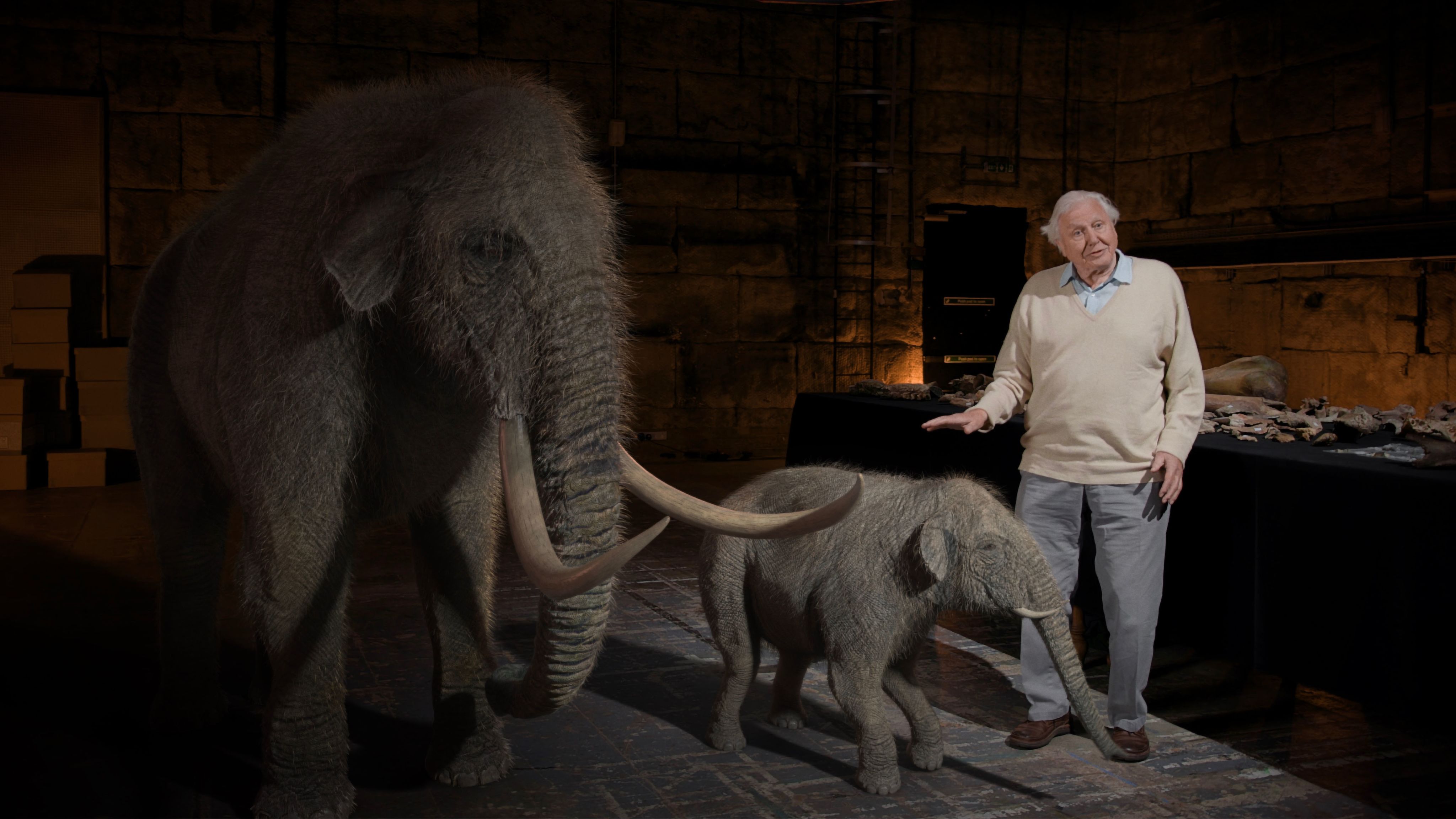 person standing in dark room pointing to cgi mammoth