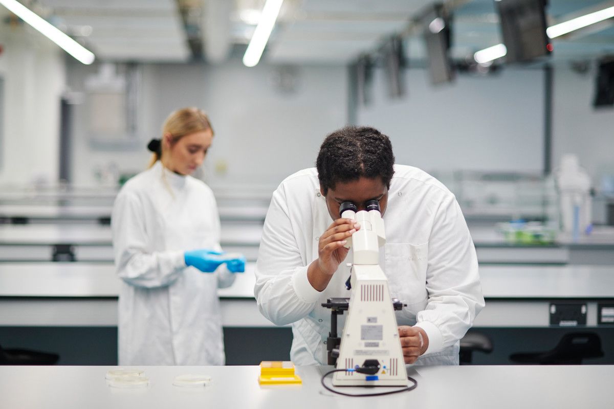 link to BSC ecology and conservation course web page