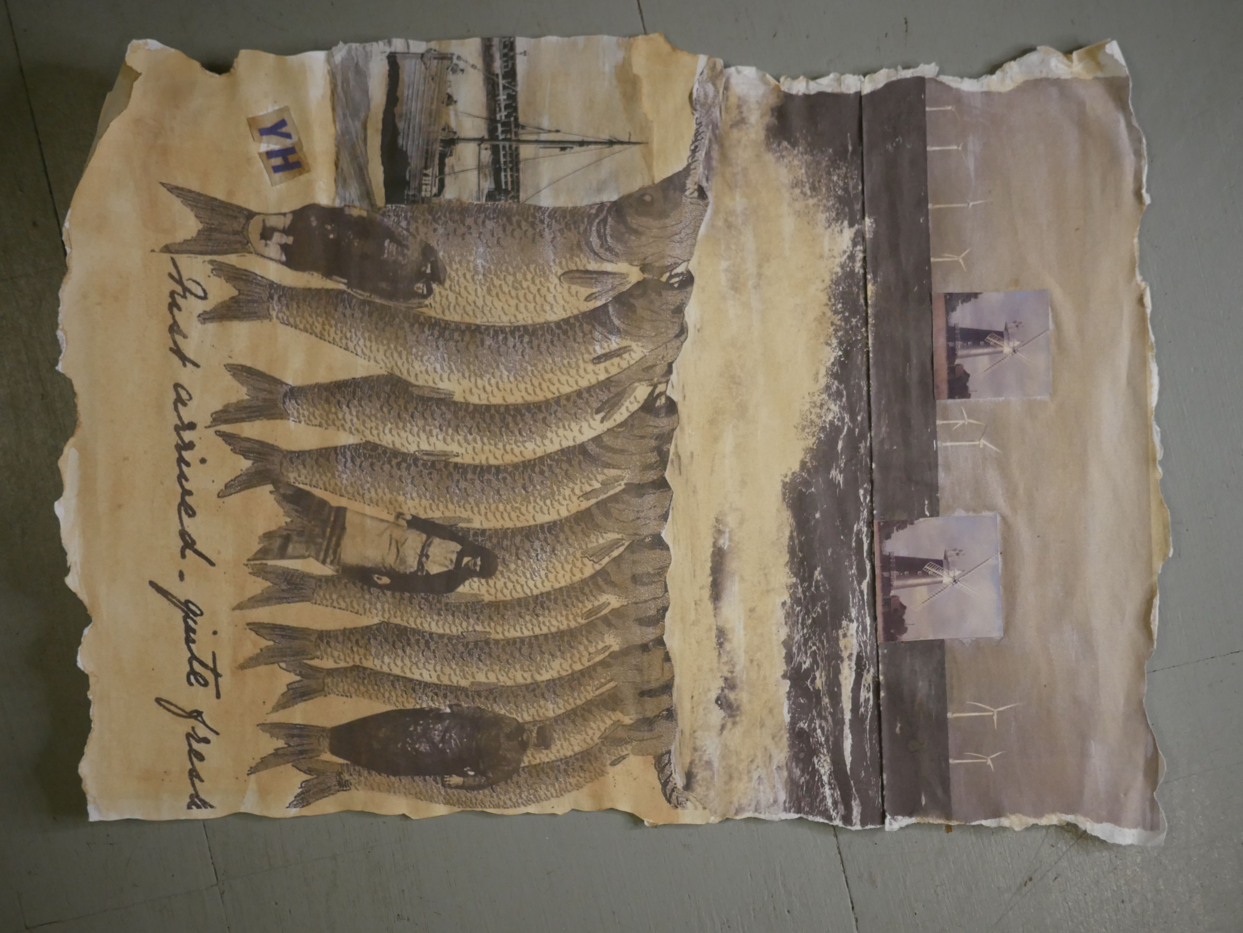 A collage image containing herrings, the sea, windmills and a windfarm.