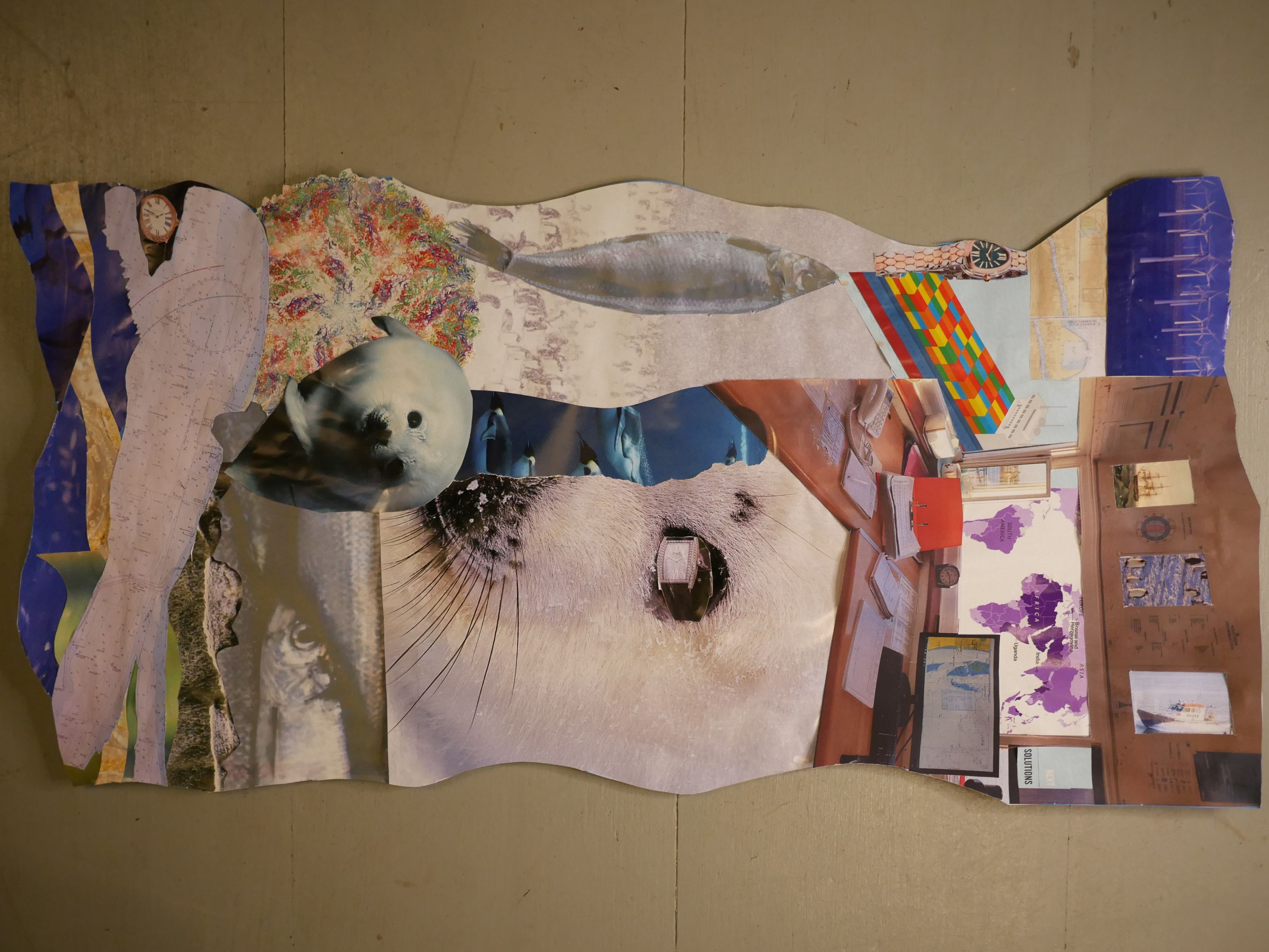 A collage image containing pictures of seals and herrings and a map of the world.