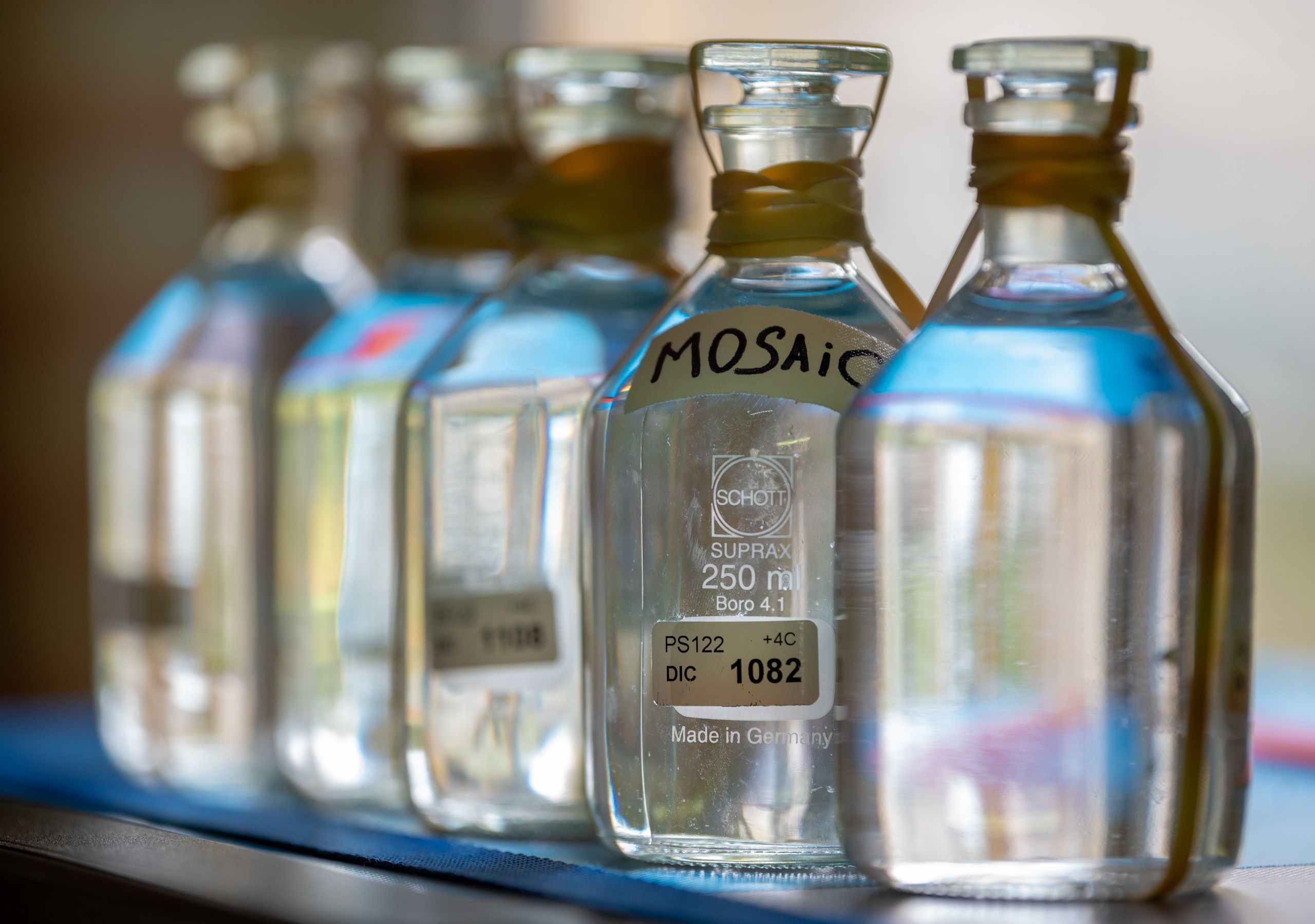 Sample bottles of seawater for analysis