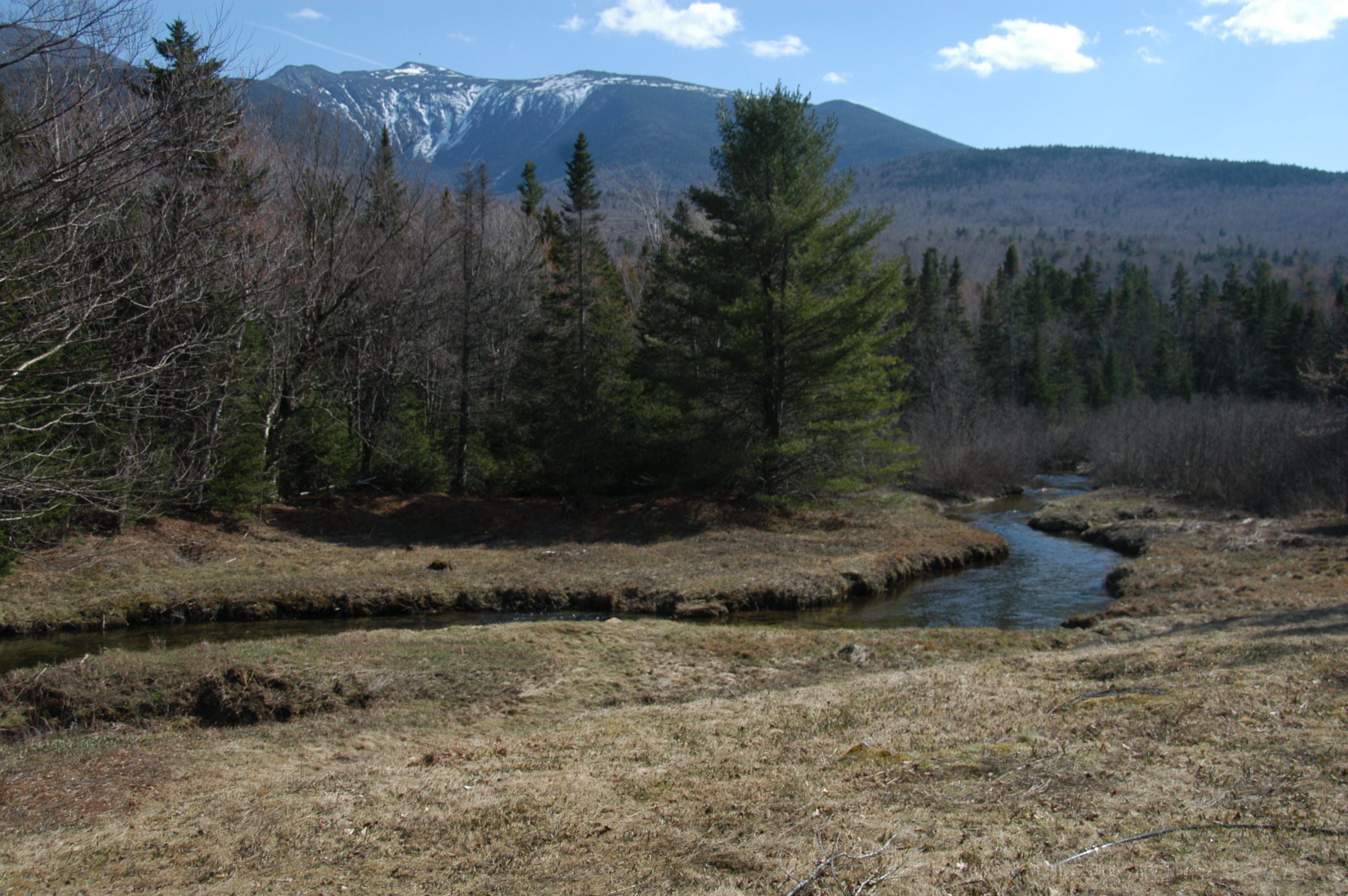 A photo of a river running towards a pine forest, in the background is a range of mountains, with snow capped peaks, under a blue sky. 