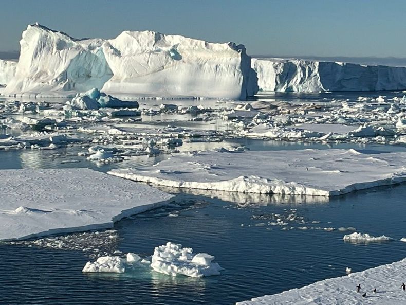 Craggy icebergs and sea ice