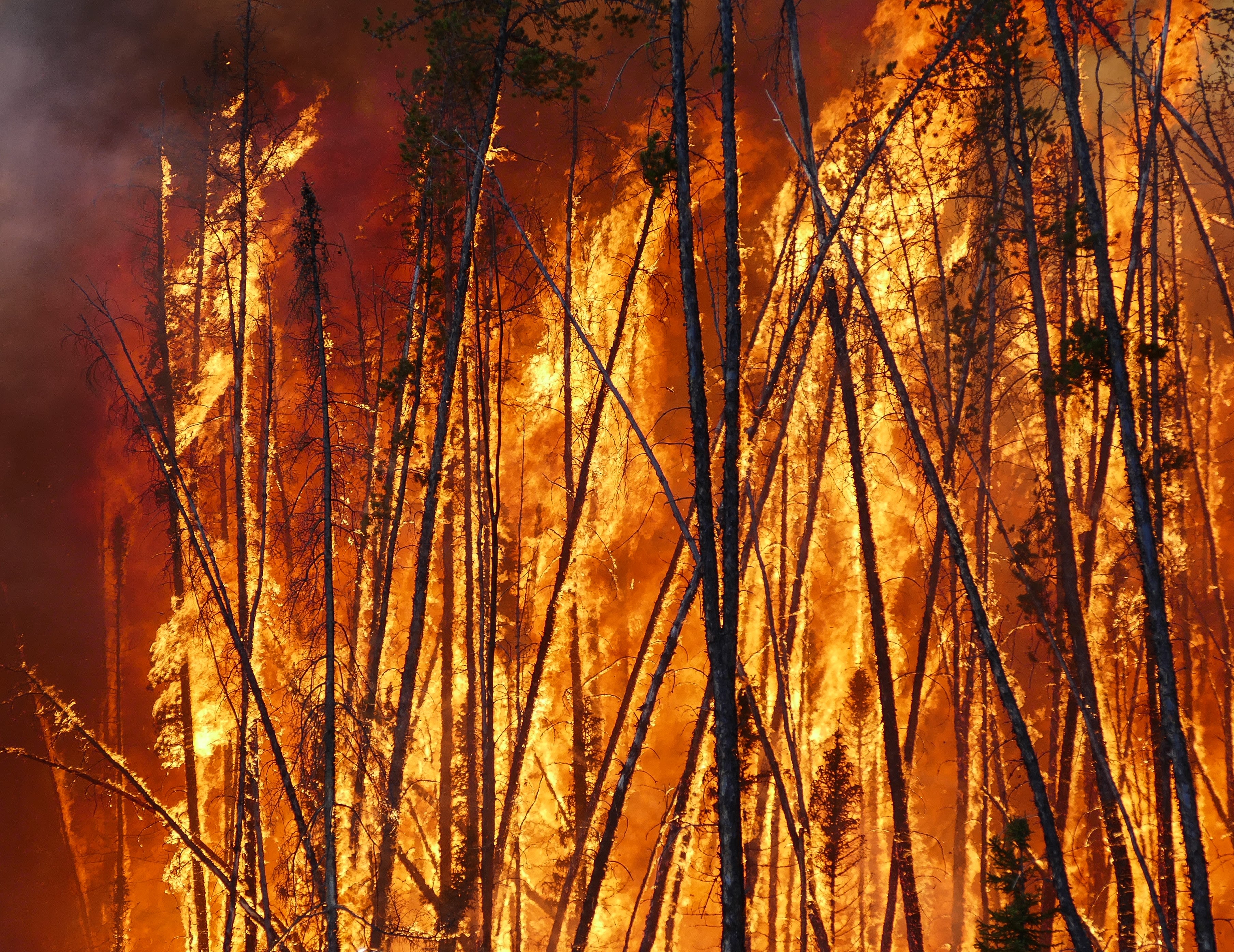 A forest fire in boreal Canada (credit: Stefan Doerr)