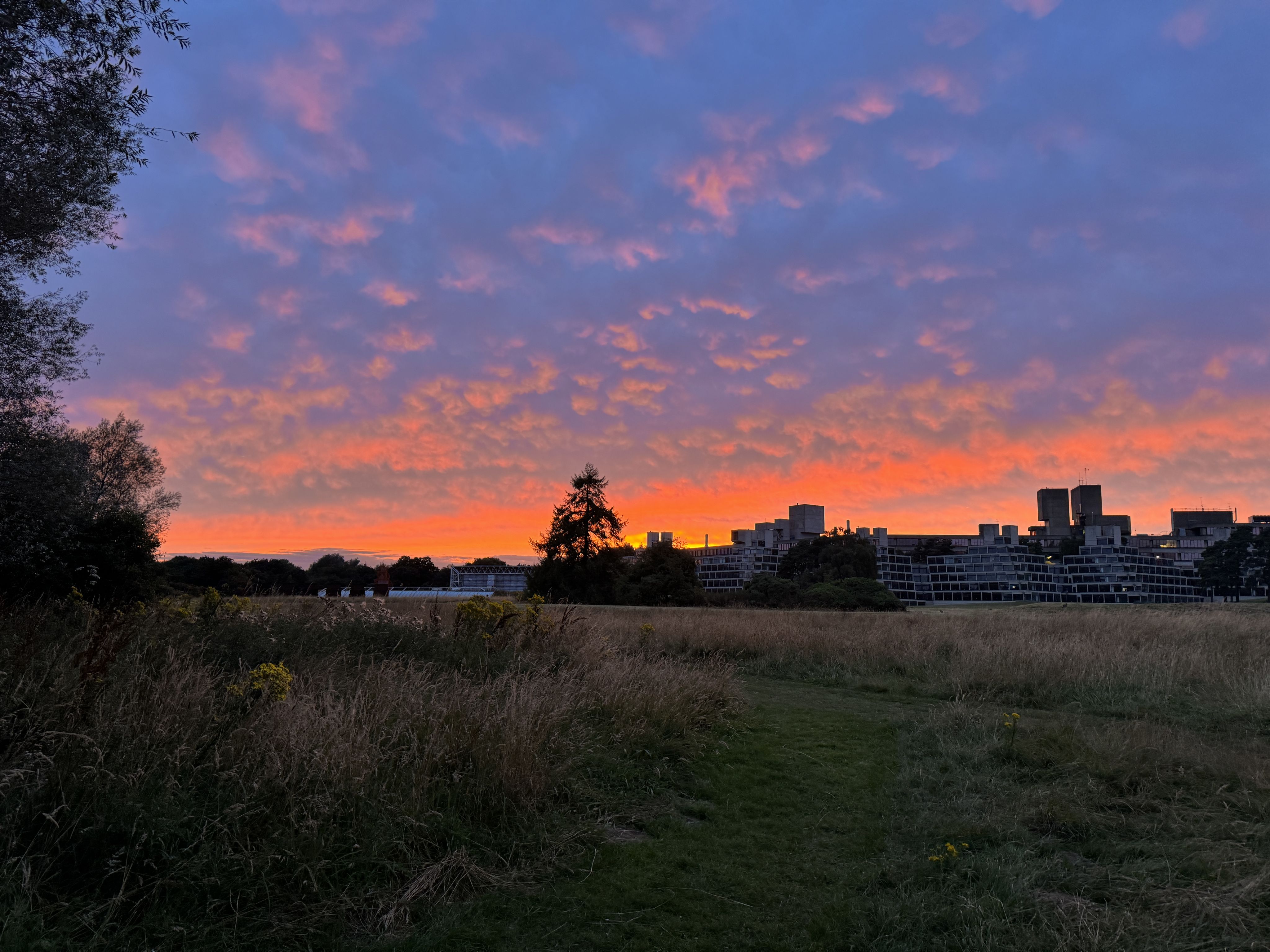 UEA campus' skyline with an orange sunset visible in the sky